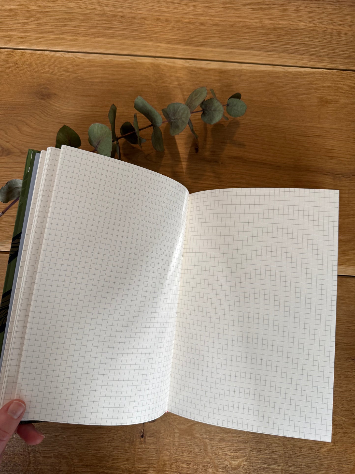 Blueberry Notes - kovakantinen